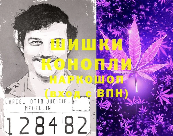 ECSTASY Краснослободск