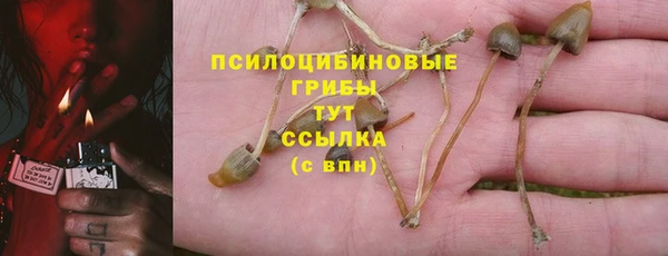 спиды Краснотурьинск