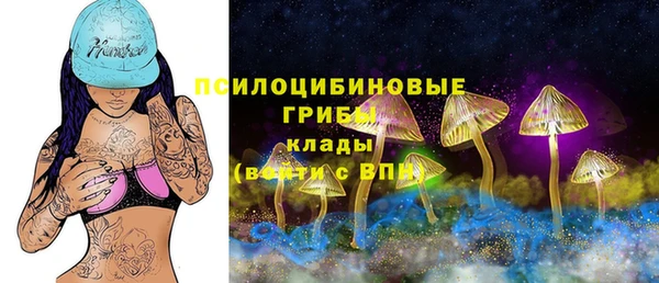 mdpv Алексин