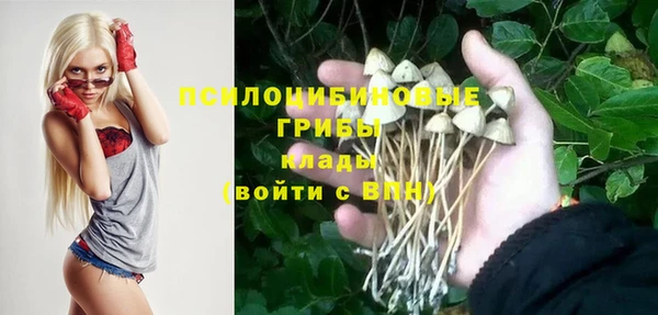 ECSTASY Краснослободск