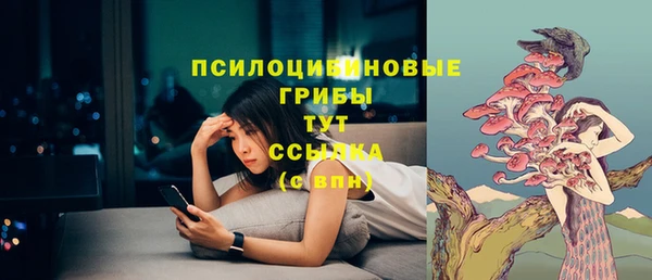 ECSTASY Краснослободск