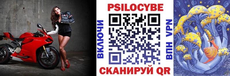 Псилоцибиновые грибы GOLDEN TEACHER  наркота  Чебаркуль 