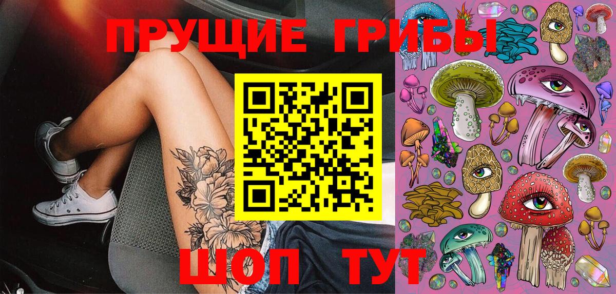 Чебаркуль  Галлюциногенные грибы прущие грибы  Вход с VPN  Галлюциногенные грибы прущие грибы 